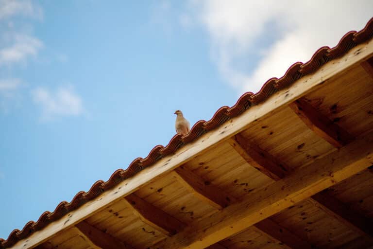 FAQ Couvreur à Calais