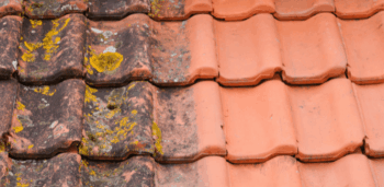 nettoyage et démoussage de toiture à Guînes